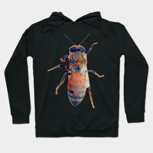 Worker Honey Bee 06 Hoodie